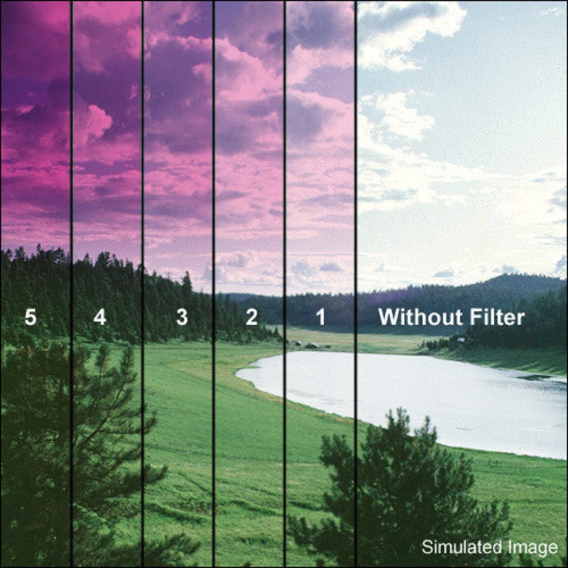 Tiffen 5.65 x 5.65" 5 Magenta Soft-Edge Graduated Filter