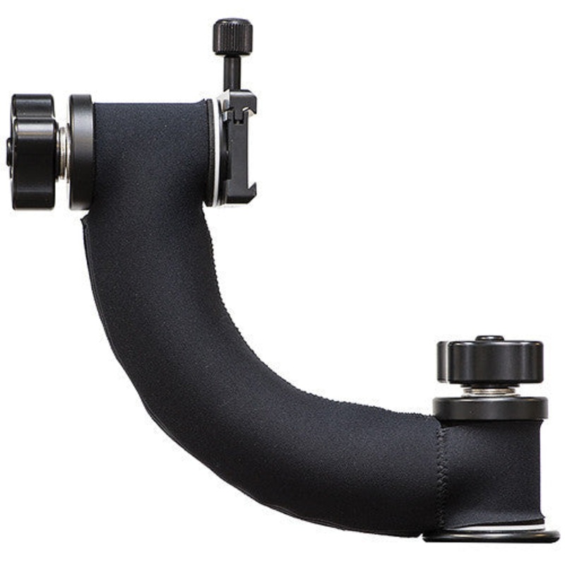 LensCoat King Cobra Cover (Black)