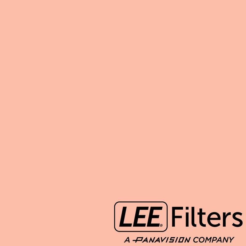 Lee 108 English Rose - 20x24"