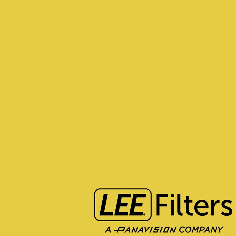 Lee 550 ALD Gold - 20x24"