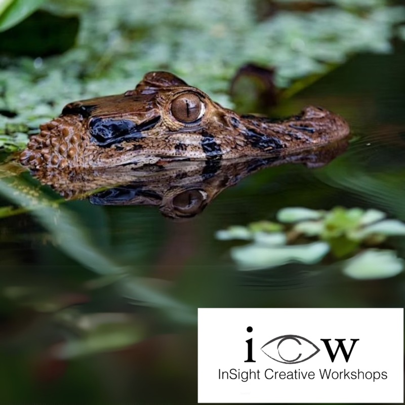 Lightroom with Jim Slobodian - Thur. Jul. 3, Tue. Jul. 8, Thur. Jul. 10 & Tue. Jul. 15