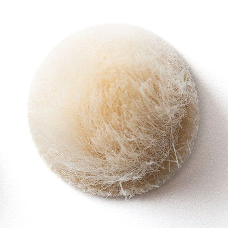 Rycote Overcovers Advanced (Beige)