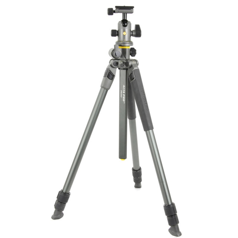 Vanguard Alta Pro 2+ 263AB100