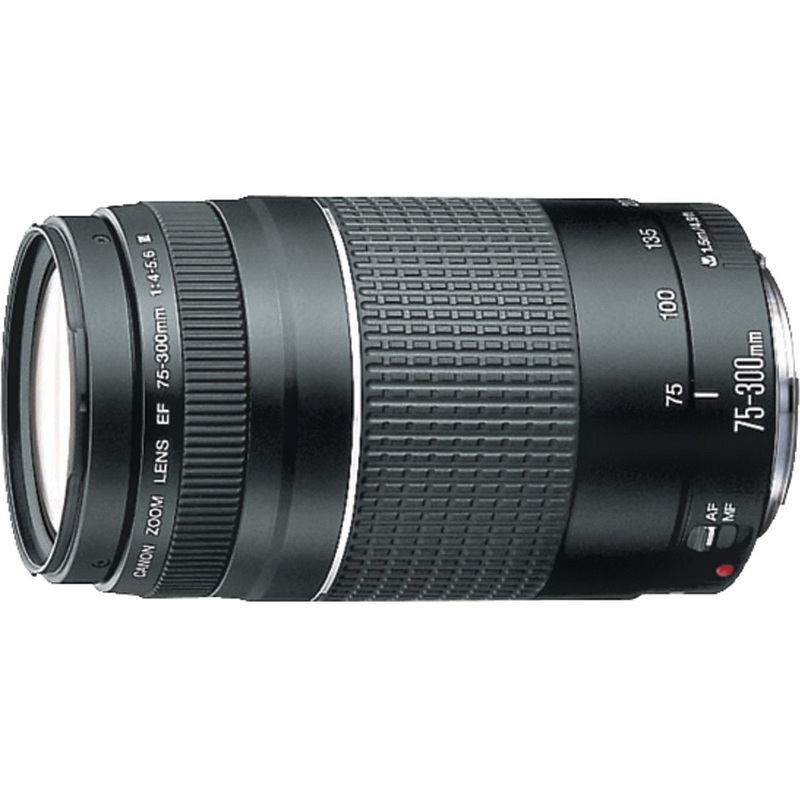 Canon EF 75-300mm F4-5.6 III Telephoto Zoom Lens