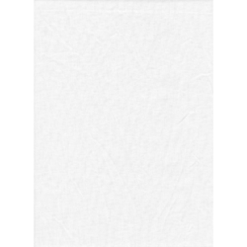Promaster Solid Backdrop 10x12 - White