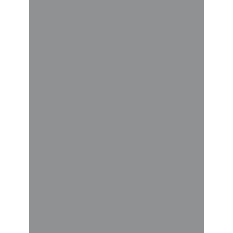 Savage Widetone Seamless Background Paper (Fashion Gray, 53" x 36)