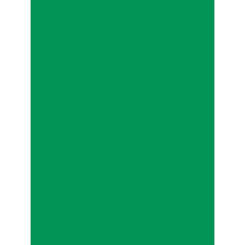 Savage Widetone Seamless Background Paper (Holly, 53" x 36)