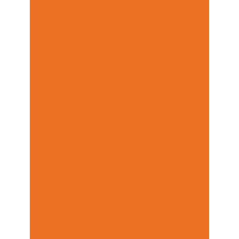 Savage Widetone Seamless Background Paper (Orange 107X12yds)