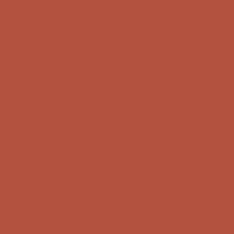 Savage Widetone Seamless Background Paper (Rustic, 107" x 36)