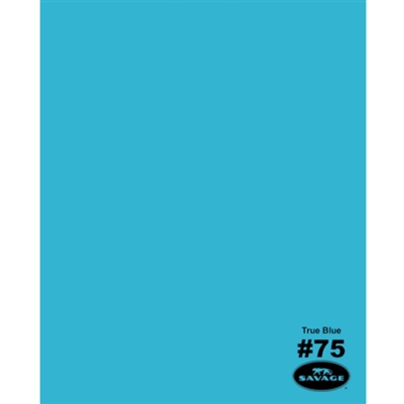 Savage Widetone Seamless Background Paper (True Blue, 86" x 12 yds)