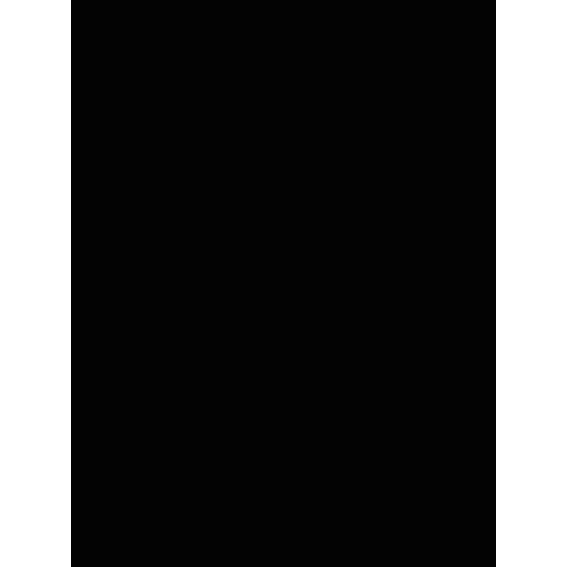 Savage  Black Seamless Background Paper (107" x 36')