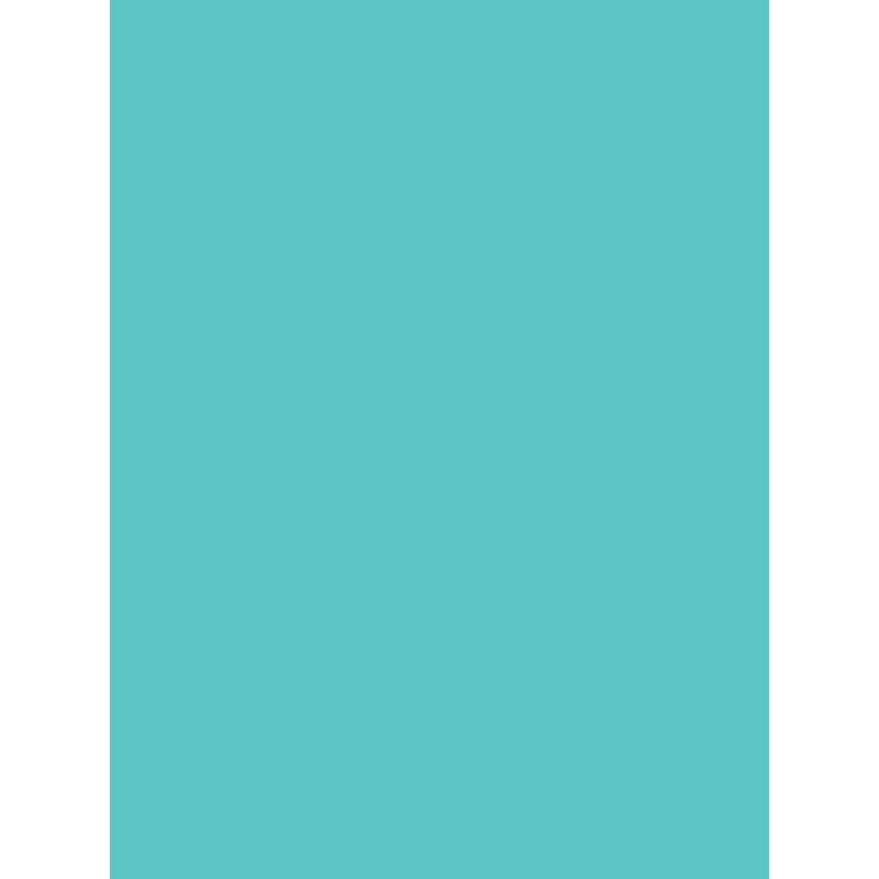 Savage Widetone Seamless Background Paper (Baby Blue, 53" x 36)