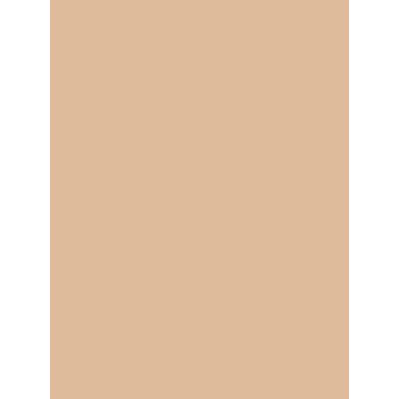 Savage Widetone Seamless Background Paper (Beige, 107" x 36)
