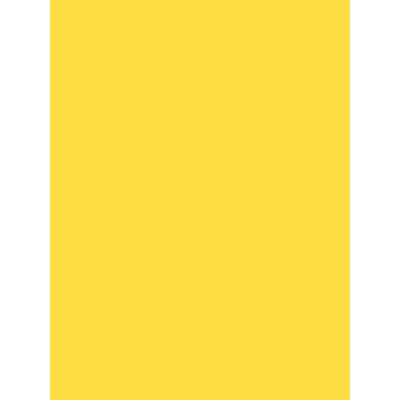 Savage Widetone Seamless Background Paper (Canary, 53" x 36)