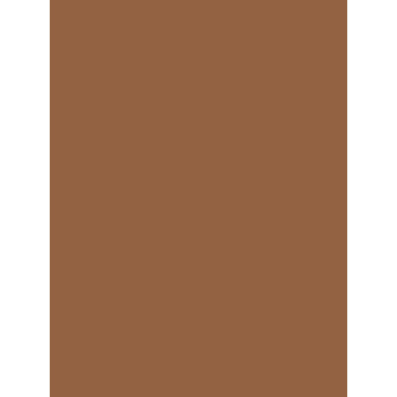Savage Widetone Seamless Background Paper (Cocoa, 107" x 36)