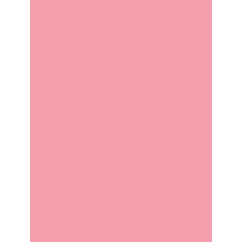 Savage Widetone Seamless Background Paper (Coral, 107" x 36)