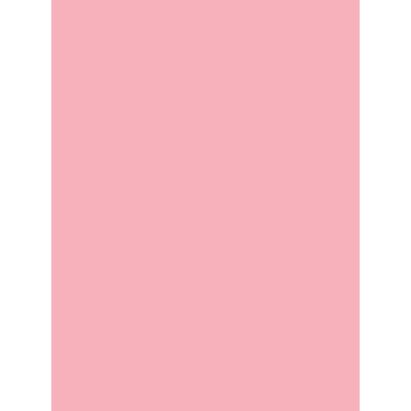 Savage Widetone Seamless Background Paper (Coral, 53" x 36)