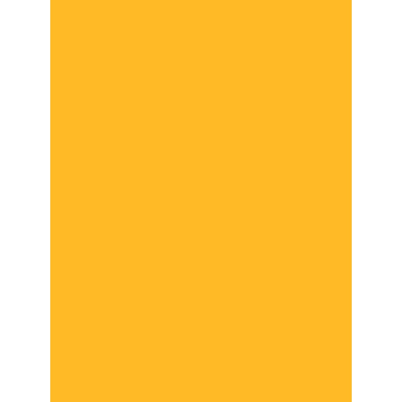 Savage Widetone Seamless Background Paper (Deep Yellow, 53" x 36)