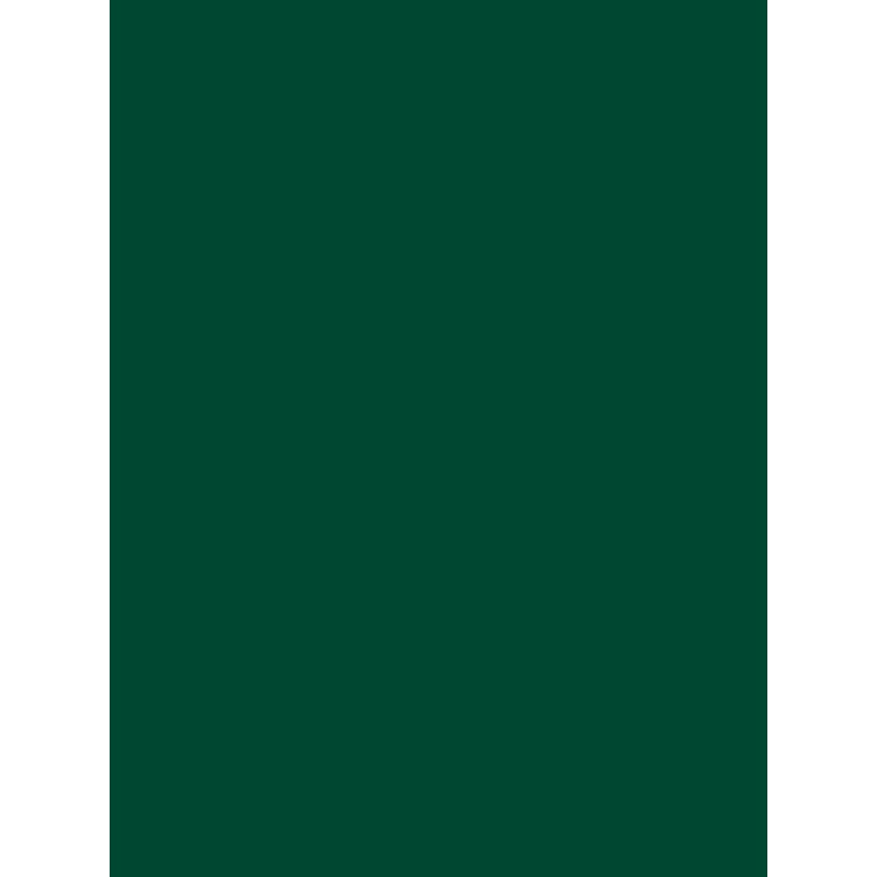 Savage Widetone Seamless Background Paper (Evergreen, 53" x 36)