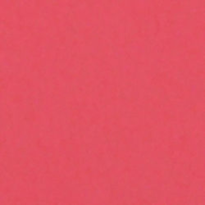 Savage Widetone Seamless Background Paper (Flamingo, 53" x 36)