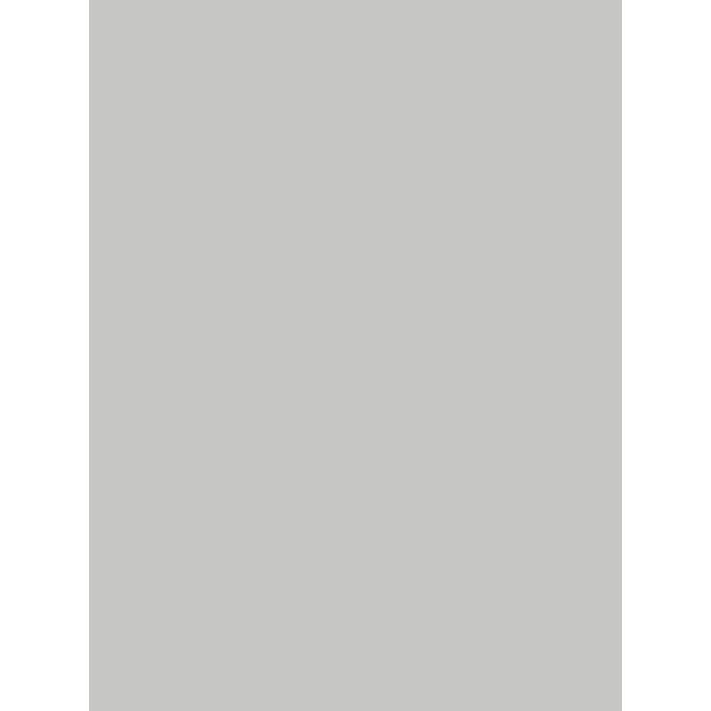 Savage Widetone Seamless Background Paper (Gray Tint, 53" x 36)