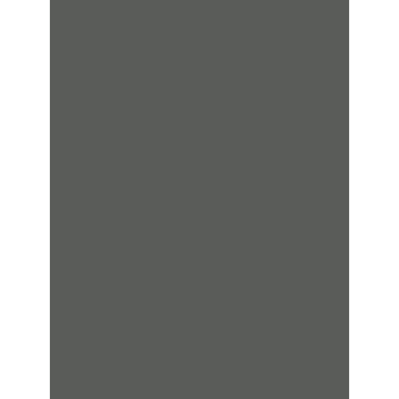 Savage Widetone Seamless Background Paper (Thunder Gray, 53" x 36)
