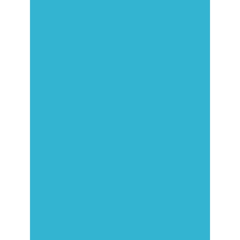 Savage Widetone Seamless Background Paper (True Blue, 53" x 36)