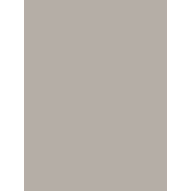 Savage Widetone Seamless Background Paper (TV Gray, 53" x 36)