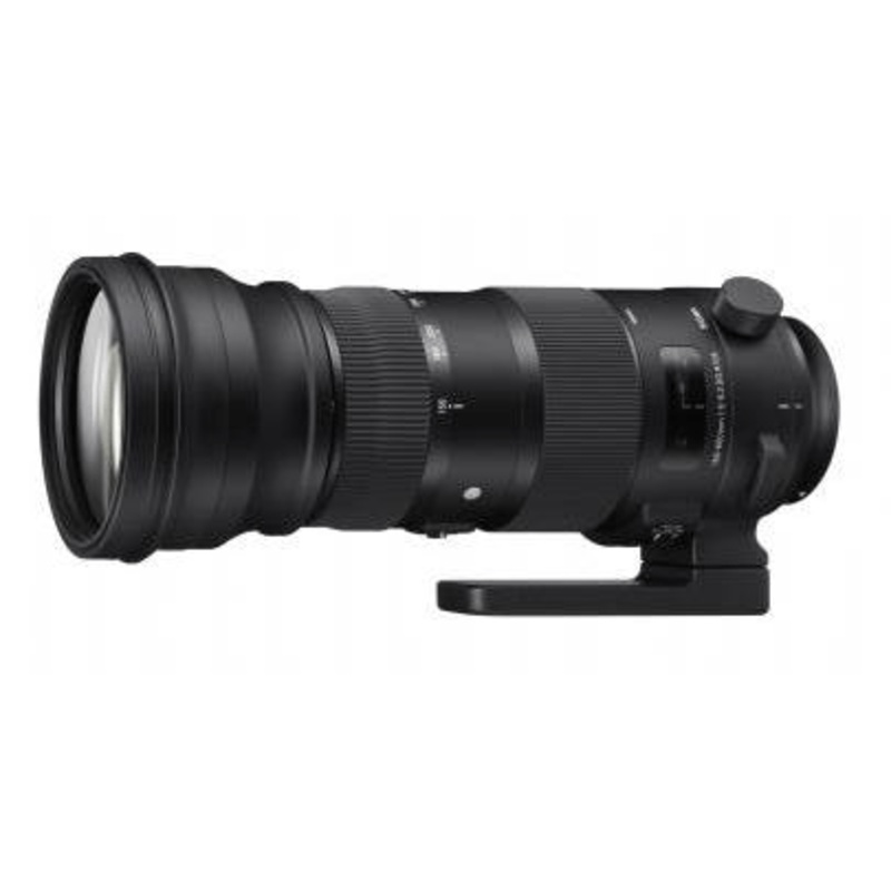 Sigma 150-600mm f/5-6.3 DG OS HSM Sport Lens for Nikon F