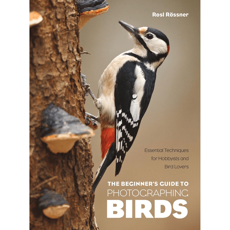 Rocky Nook The Beginners Guide to Photographing Birds
