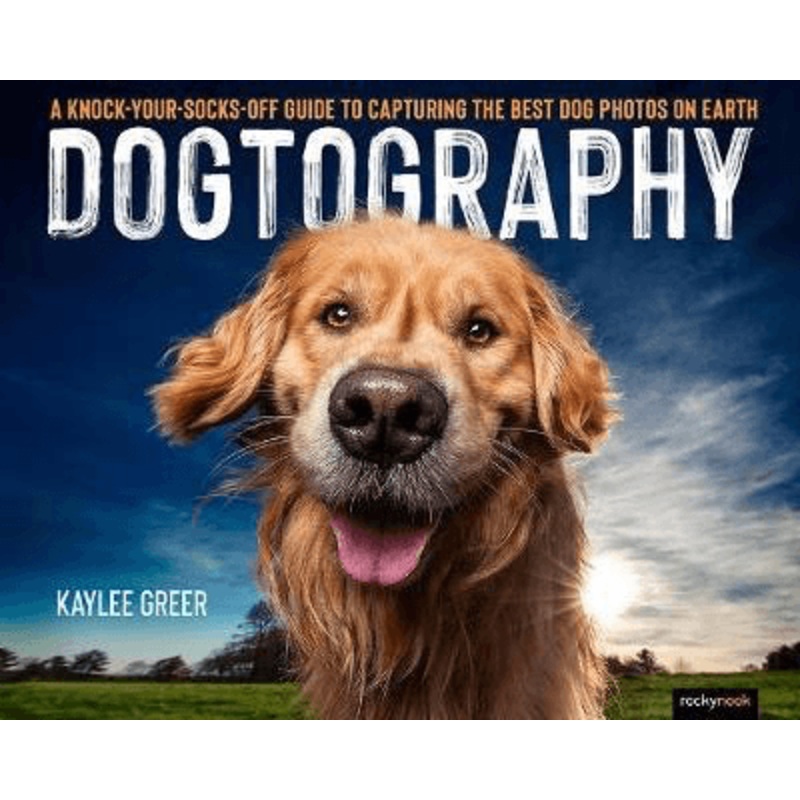 Dogtography by Kaylee Greer