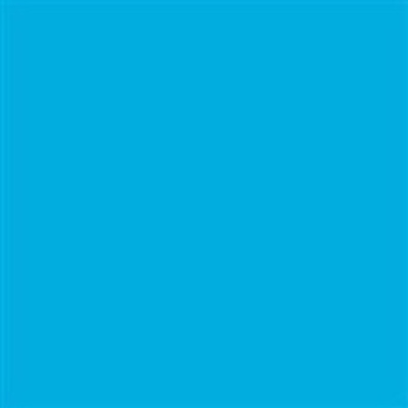 Savage Widetone Seamless Background Paper ( Blue Jay 107" x 36)