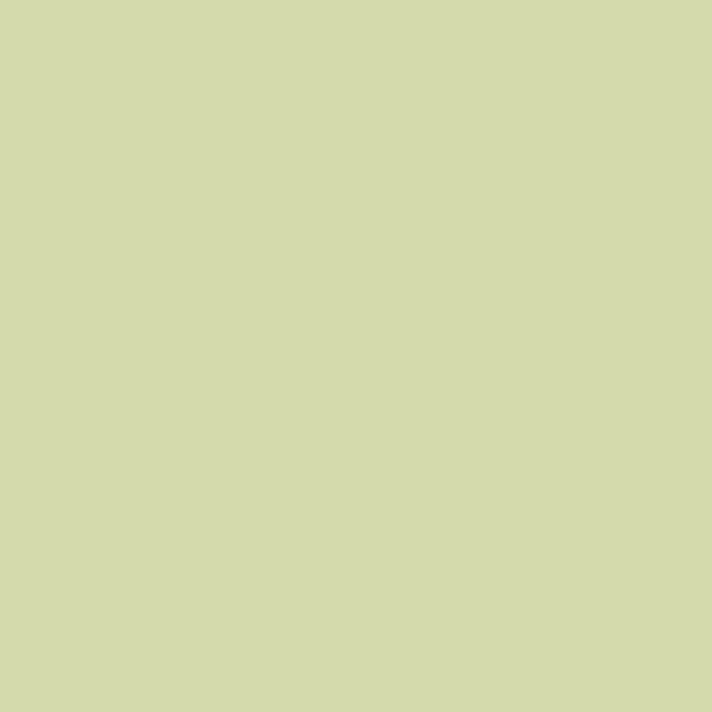 Savage Widetone Seamless Background Paper ( Sea Green 86" x 36)
