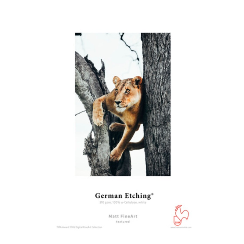 Hahnemuhle German Etching Paper 8.5 x 11" - 25 Sheets