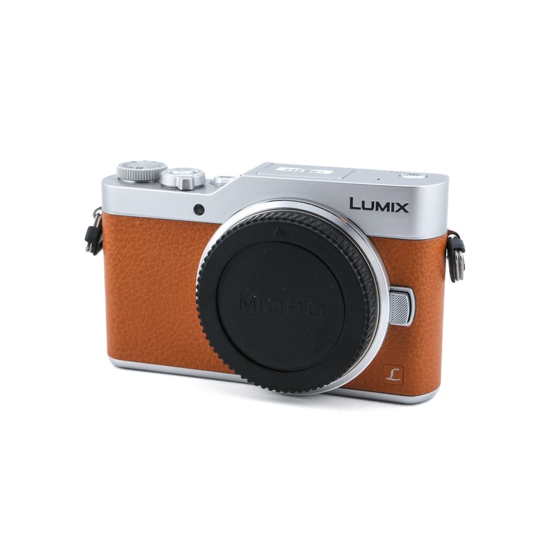 Panasonic Lumix DC-GX800