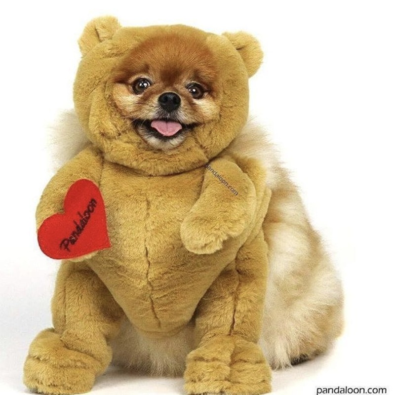 Test Bear